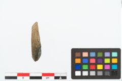 Foto von Sapropelitring (NHMW-PRAE-025219)